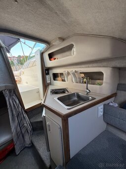 Sea Ray sundancer 230 - 5