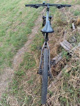 Specialized ROCKHOPPER 29 - 5