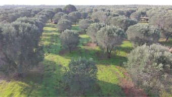 Pozemek u moře na jihu Itálie - 5