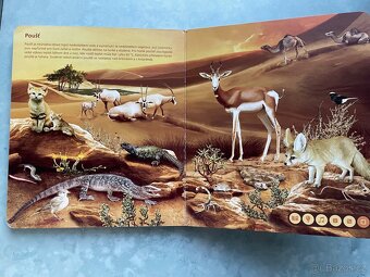 Kouzelné čtení od Albi - 5