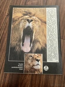 komiksy Člověk zvaný Son, Gorazdův posel - 5