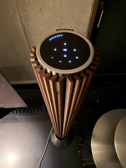 Bang & Olufsen BeoLab 28 - 5