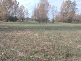 Pozemek u jezera Pístník, přes 1,8 ha, blízko dálnice D8... - 5