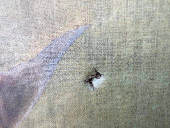 Obraz starý na plátně - 5