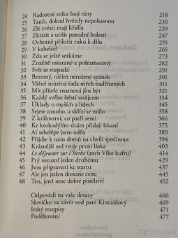 Patrick Taylor - Doktore, bacha na ženský - 5