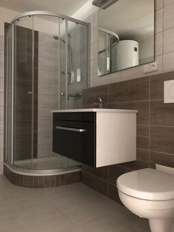 Pronájem bytu 2+kk Bedihošť - 5