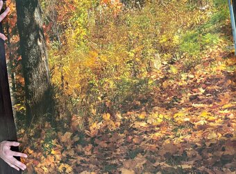 Obrazová tapeta Podzimní romance - 5