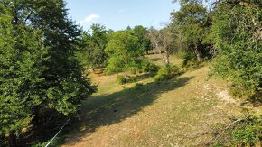 Stavební pozemek Jankovice se zahradou a sadem 10 086m2 - 5