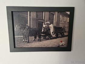 Obrazy pivovar Plzeň - 5