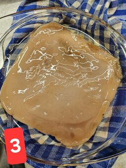 Kombucha - 5