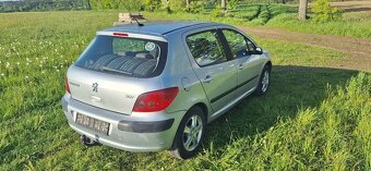 Peugeot 307 - 5