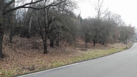 Nabízím k prodeji atraktivní pozemky, KÚ Služátky - 5