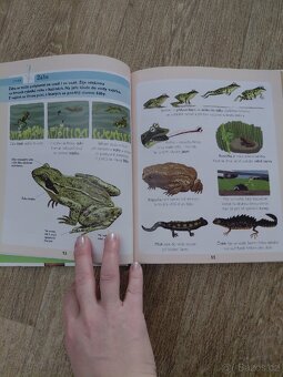 Dětské knihy encyklopedie,Pudlenka atd - 5