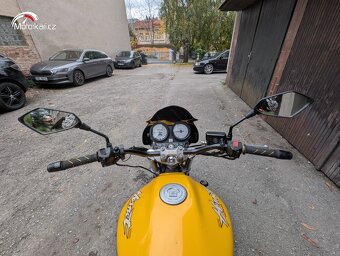 Honda CB 600F Hornet 35kw (žlutý) - 5