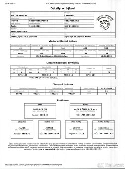 Prověřený 4-letý plemenný býk CHAROLAIS - Rezervovaný - 5