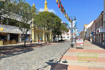 Pronájem kanceláře, 24 m2 - 5