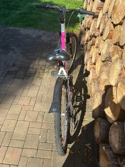 ALPINA Eco 10 lm “26” S - 5