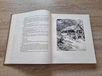 K. V. Rais: O ztraceném ševci - 5