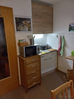 apartmán ve městě Zwiesel - 5