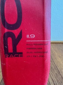 Dívčí lyže ELAN Race RC 150 cm - 5