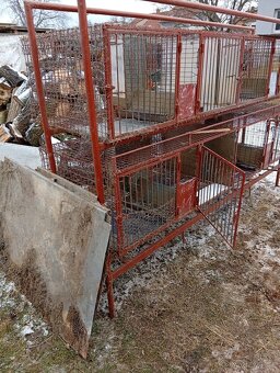 8 mi kotcova kralikarna - 5