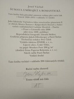 Šumava umírající a romantická - 5