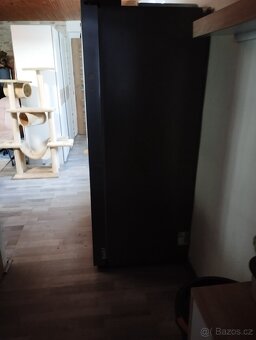 Lednice Amer.thino - 5