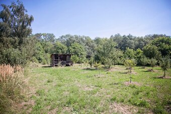 Prodej zahrady 3146 m2 Louny Lužerady - 5