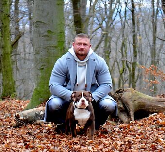 American bully - ch.s. Family Muscle Bullies - 5