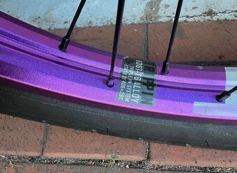 BMX WeThePeople WTP Trust 2023 21" CS - 5