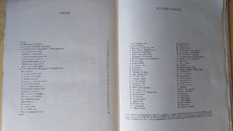 Kniha Hlubinami pravěku - 5