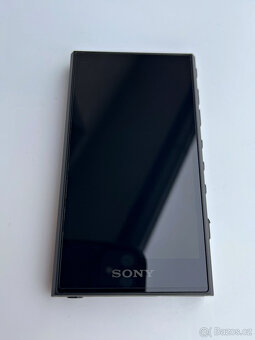Sony Walkman NW-A306 (EU) - 5