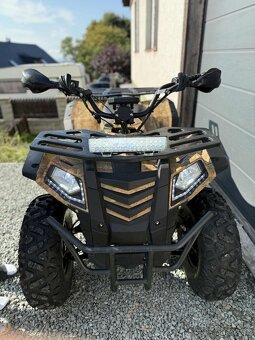 Čtyřkolka leramotors rfz 250 - 5