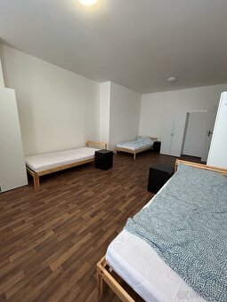Pronájem ubytovacího domu Brno Bezručova - 5
