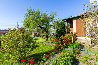 Prodej zahrady 418 m2 s chatou 18 m2 - 5