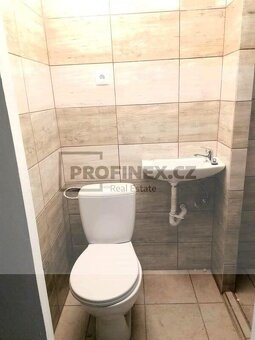 Pronájem bytu 1kk ve Štěpánovicích - 5