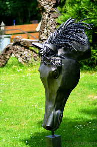 Hlava koně prodano - 5