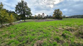 Pozemek v Doubravě u Orlové - 5