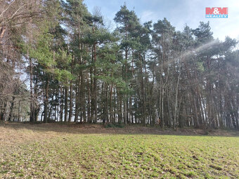 Prodej lesa, 4924 m², Paceřice - 5