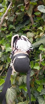 Hobby horse - 5