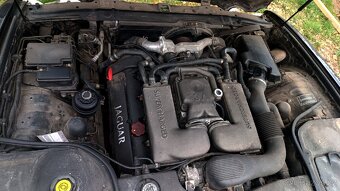 Jaguar XJR x308 - 5