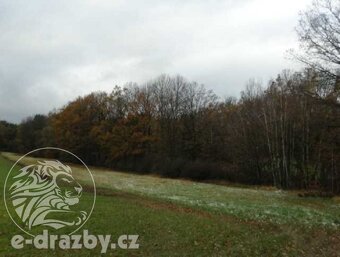 Pozemky - ostatní plocha 49 617 m2 , obec Vlašim, okr. Beneš - 5