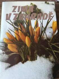Jaro v zahradě - 5