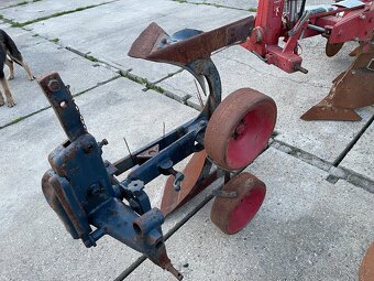 Pluh jednoradličný - 5