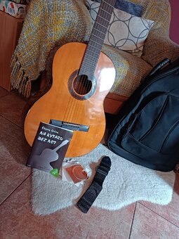 Kytara Martinez Minyard Guitars - 5