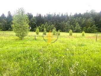 Prodej stavebního pozemku uprostřed přírody a blízkosti lesa - 5