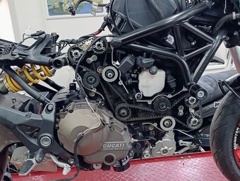 Ducati Monster 821 - 5