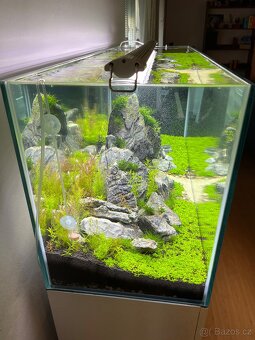 Akvarium Opti white 240 l + skříňka,kryt a světlo - 5