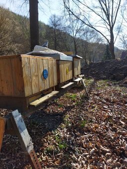 Vyzimovaná včelstva - 5