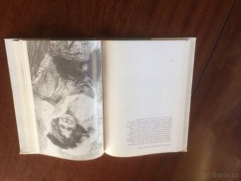 Švabinského český slavín - 5